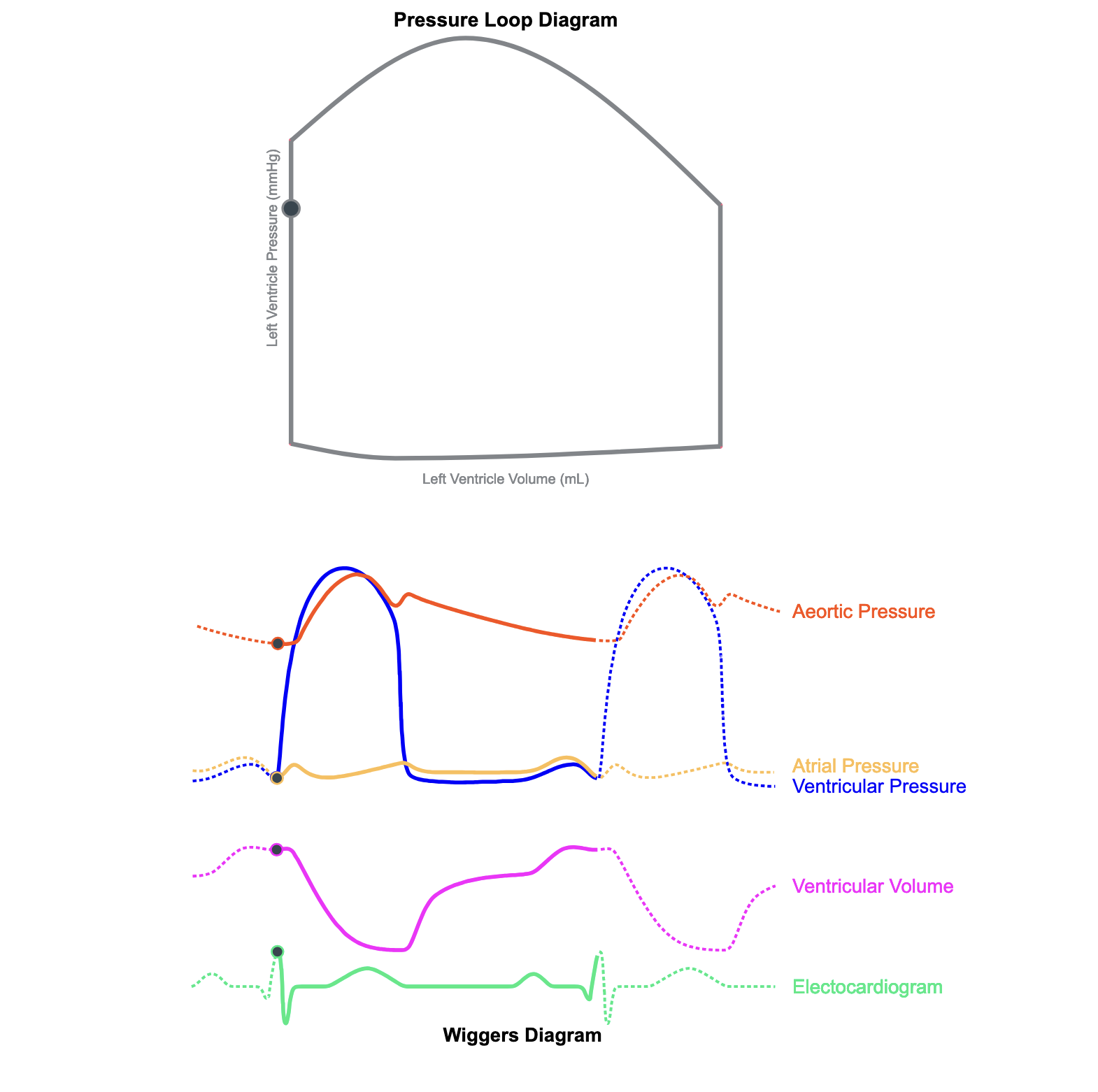 CardioEd Image